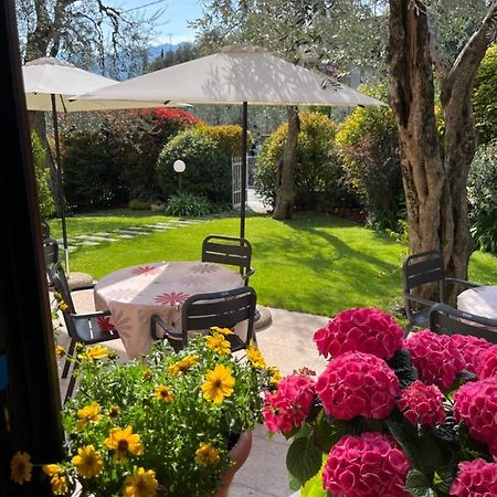 מאלצ'סינה Hotel Villa Nadia מראה חיצוני תמונה