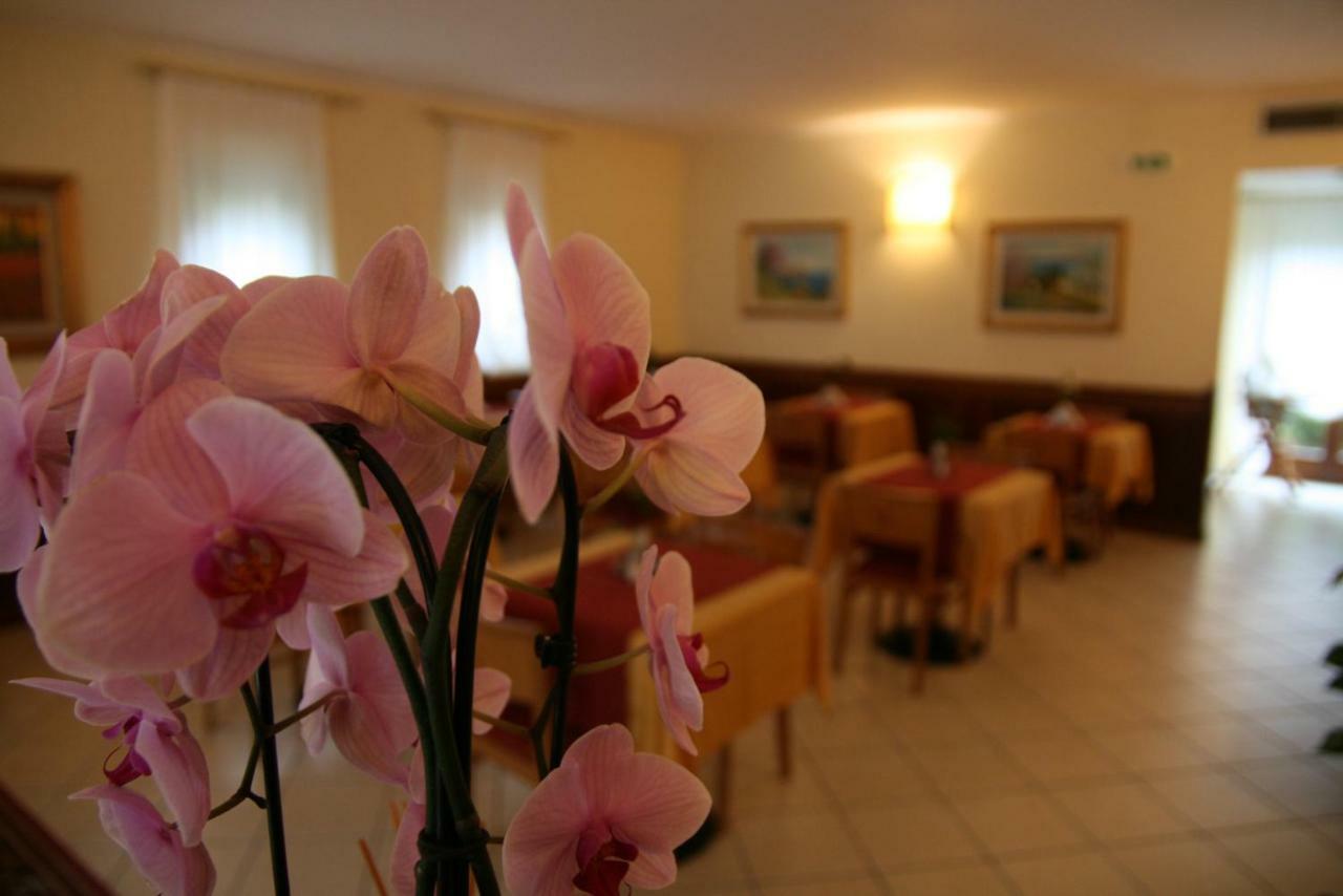 מאלצ'סינה Hotel Villa Nadia מראה חיצוני תמונה